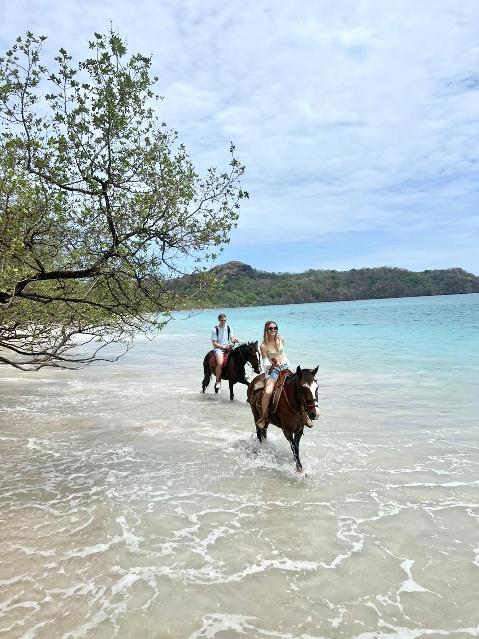 Horseback on the beach